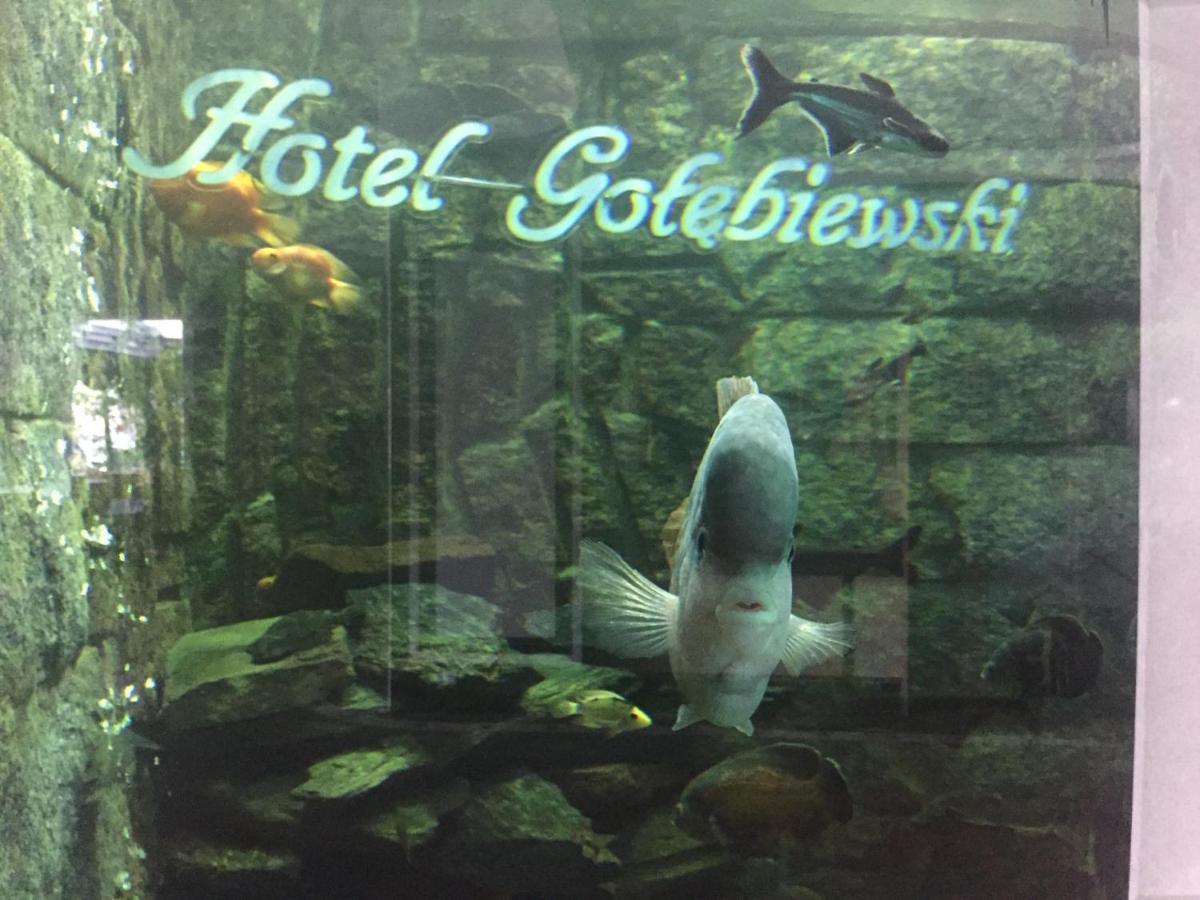 Hotel Golebiewski Білосток Екстер'єр фото